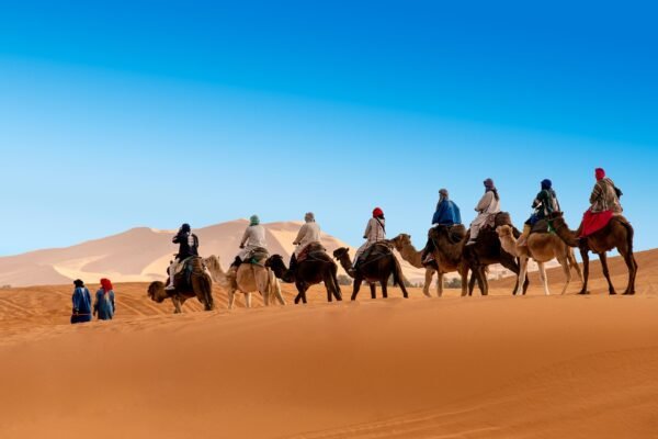 7-Day Imperial Morocco & Saharan Escape: Marrakesh to the Desert