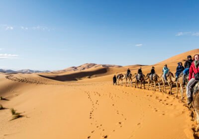 The Ultimate Guide to Planning Your First Saharan Desert Tour