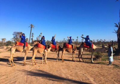 Half-Day Authentic Camel Ride Experience in Palmeraie Marrakesh
