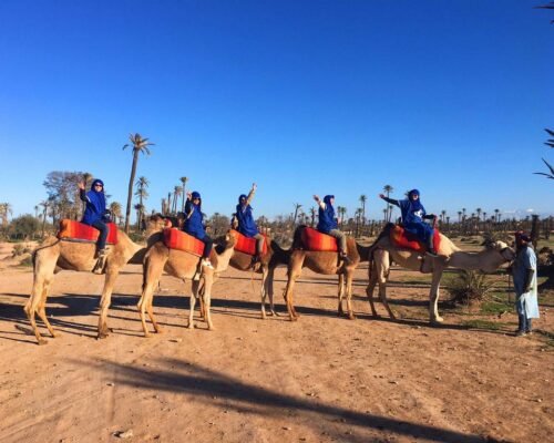 Half-Day Authentic Camel Ride Experience in Palmeraie Marrakesh