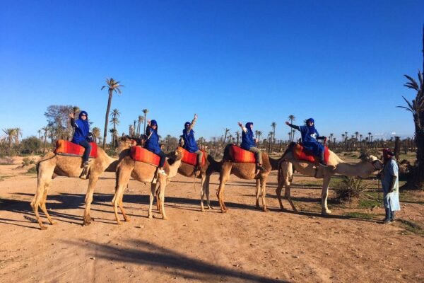 Half-Day Authentic Camel Ride Experience in Palmeraie Marrakesh