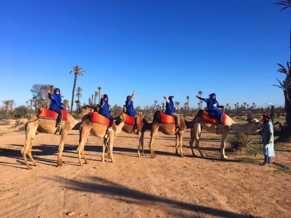 Half-Day Authentic Camel Ride Experience in Palmeraie Marrakesh