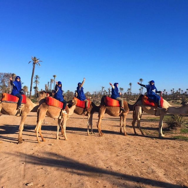 Half-Day Authentic Camel Ride Experience in Palmeraie Marrakesh