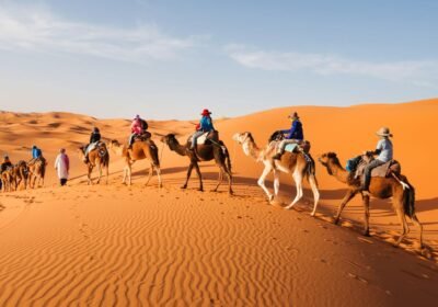 6-Day Saharan Adventure: Marrakesh to Fes via Merzouga