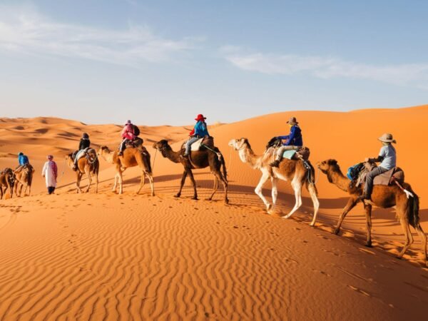 6-Day Saharan Adventure: Marrakesh to Fes via Merzouga