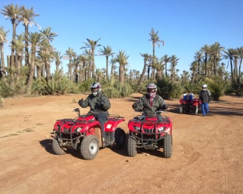 Half-Day Quad Biking Thrill in Palmeraie Marrakesh