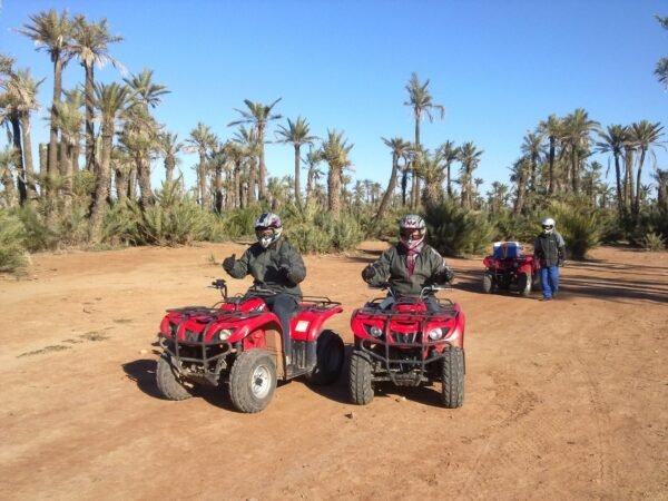 Half-Day Quad Biking Thrill in Palmeraie Marrakesh