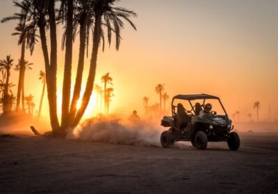 5 Authentic Experiences You Must Have in Palmeraie Marrakech
