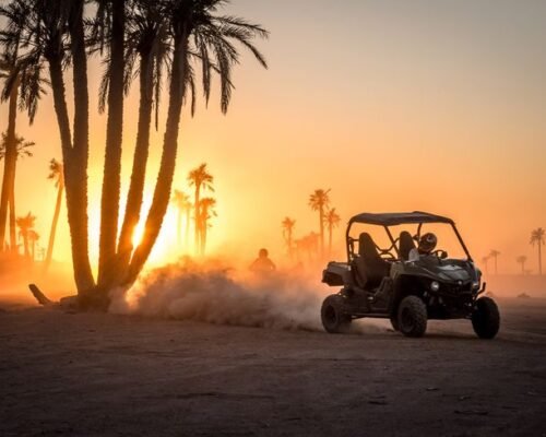 Half-Day Buggy Biking Excursion in Palmeraie Marrakesh