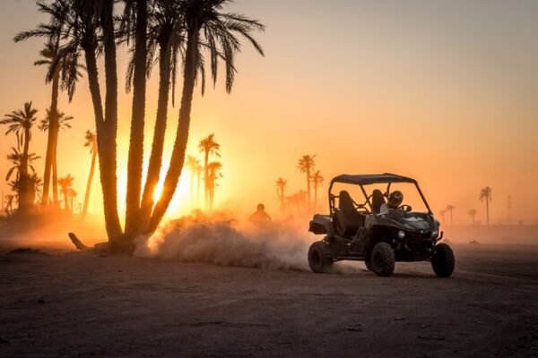 Half-Day Buggy Biking Excursion in Palmeraie Marrakesh
