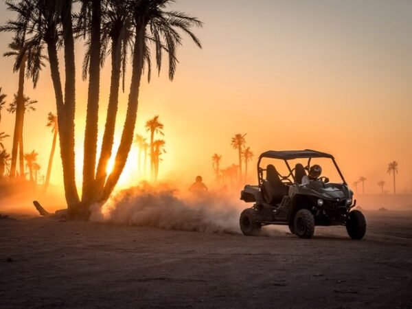 Half-Day Buggy Biking Excursion in Palmeraie Marrakesh