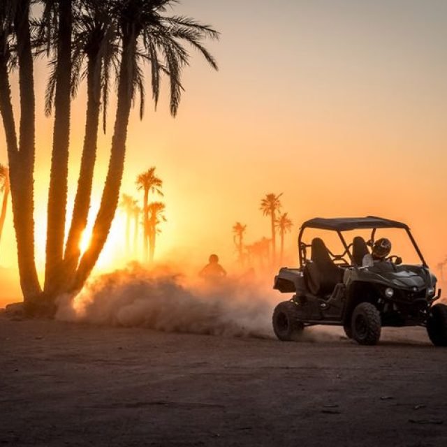 Half-Day Buggy Biking Excursion in Palmeraie Marrakesh